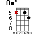 Am5- для укулеле - вариант 9